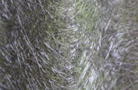 Sithney Green fibreglass roof work